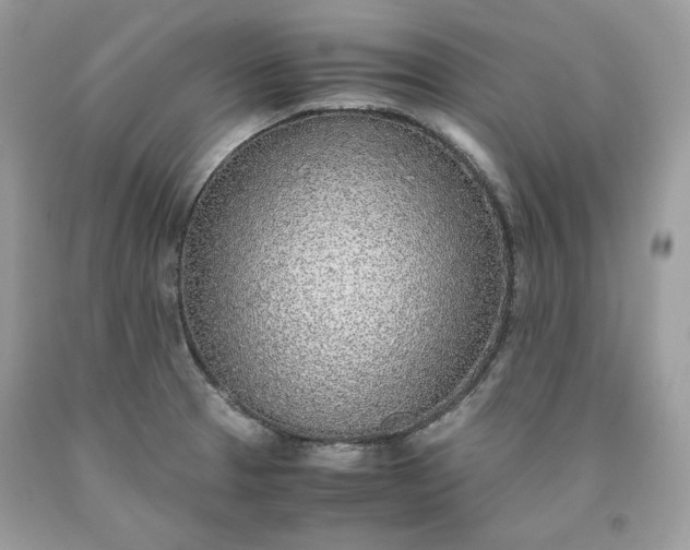 X0000093531329200710261243