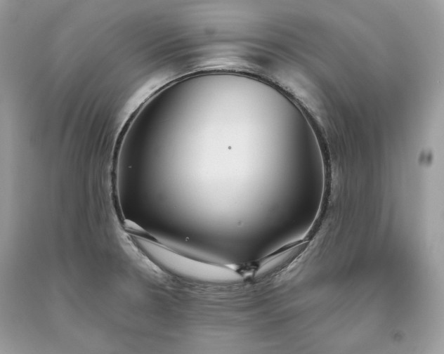 X0000093531330200710261243