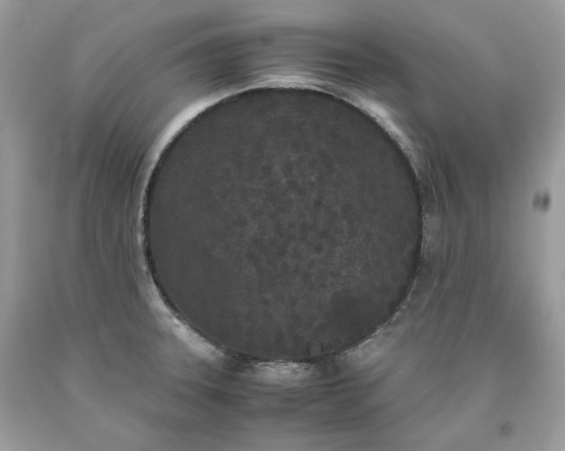 X0000093531331200710261243