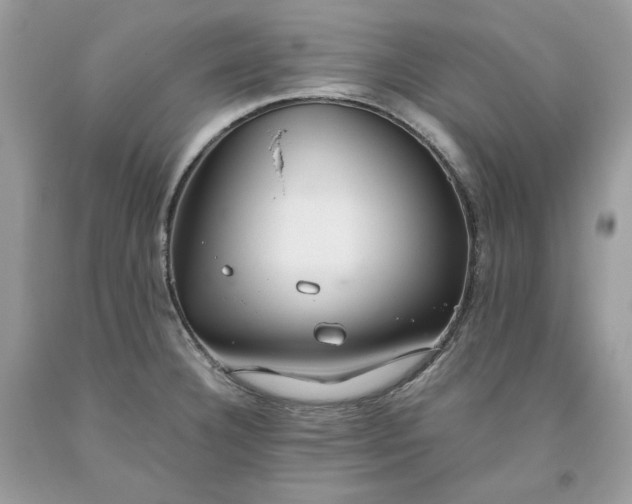 X0000093531332200710261243