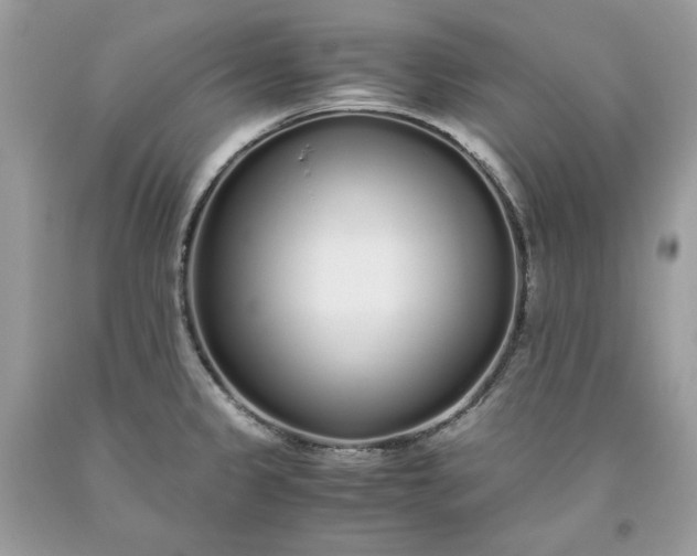 X0000093531333200710261243