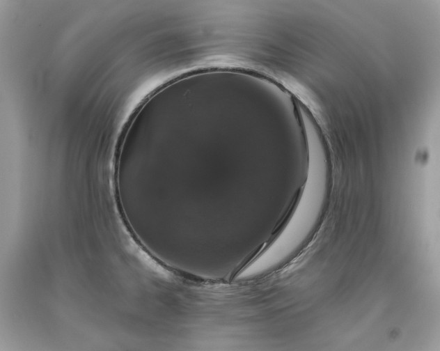 X0000093531334200710261243