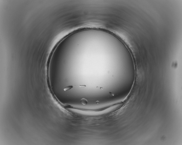 X0000093531335200710261243