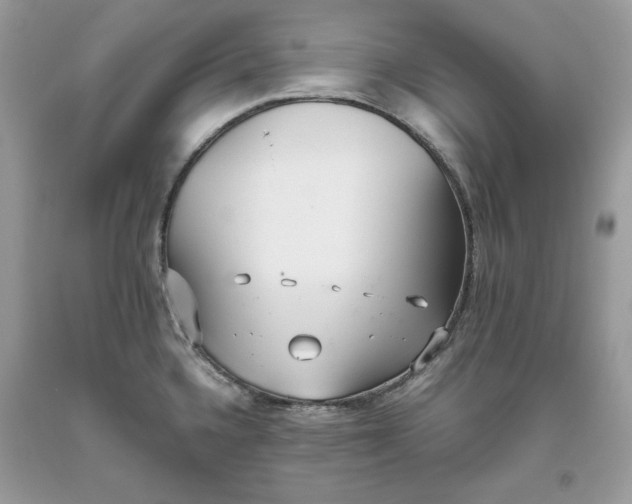 X0000093531336200710261243