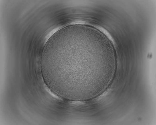 X0000093531337200710261243