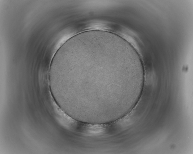 X0000093531338200710261243