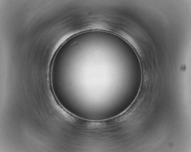 X0000093531339200710261243