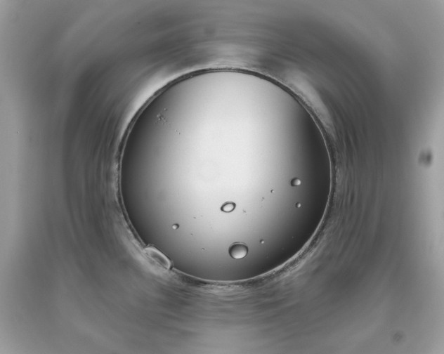 X0000093531340200710261243