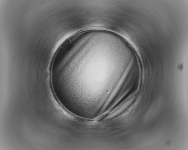 X0000093531341200710261243