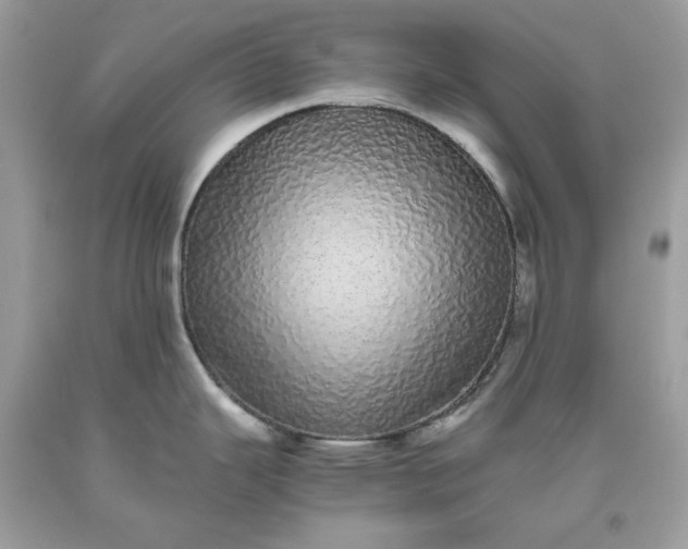 X0000093531343200710261243