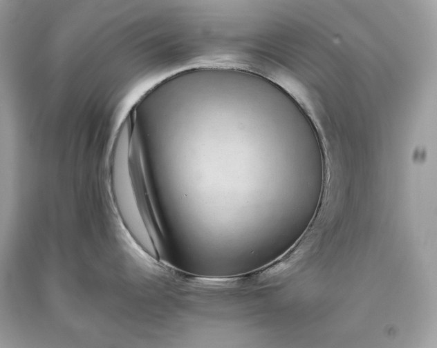 X0000093531344200710261243