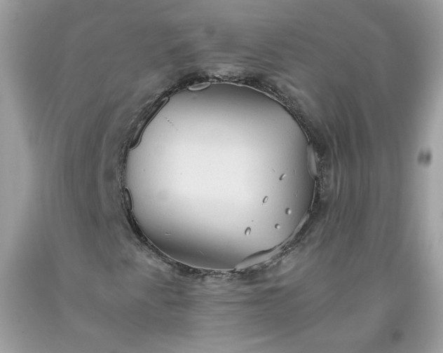 X0000093531345200710261242