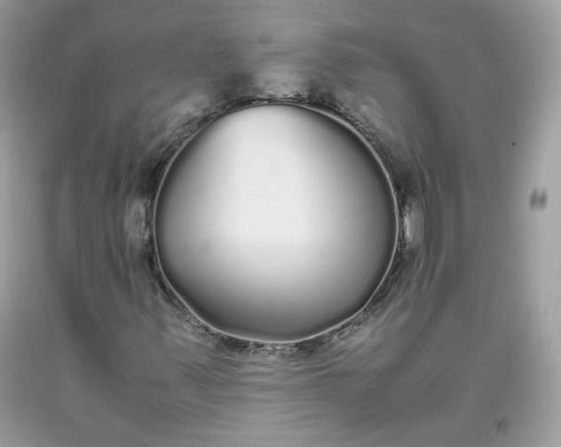 X0000093531347200710261242