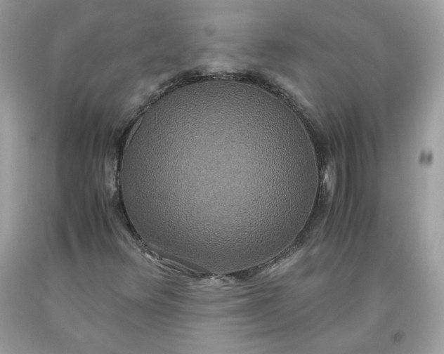 X0000093531348200710261242