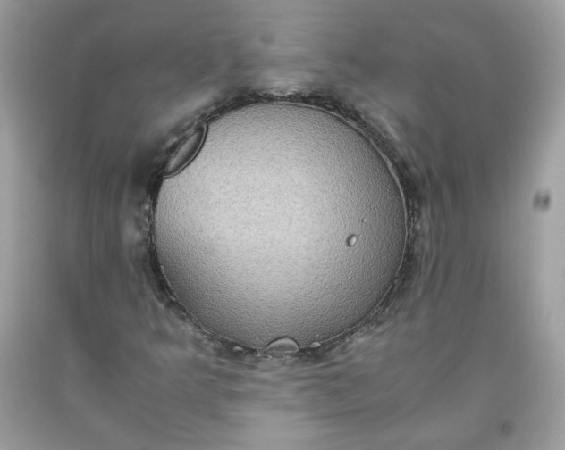 X0000093531349200710261242