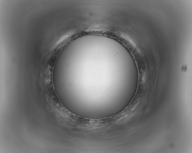 X0000093531350200710261242