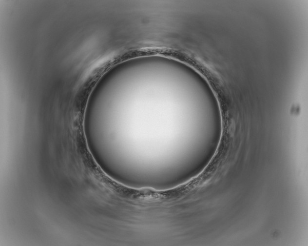 X0000093531351200710261242