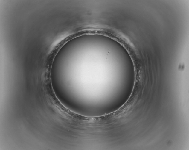 X0000093531352200710261242