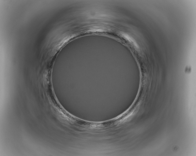 X0000093531353200710261242