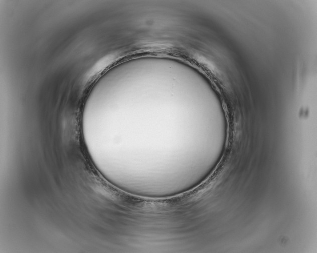 X0000093531354200710261242