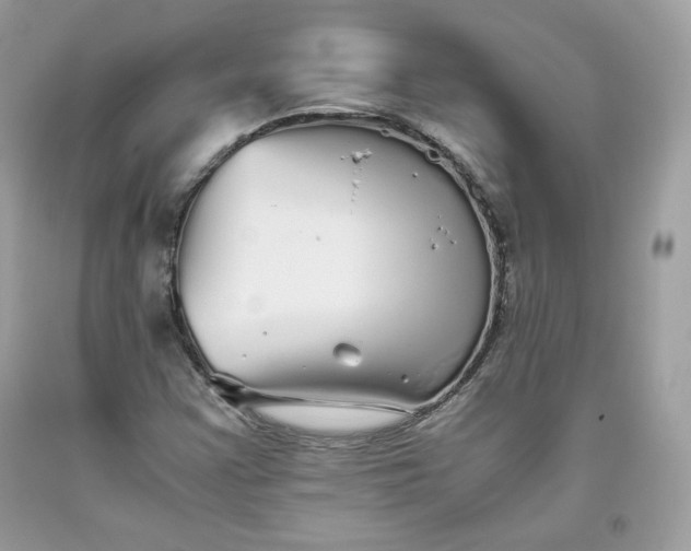 X0000093531355200710261242