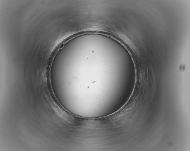 X0000093531356200710261242