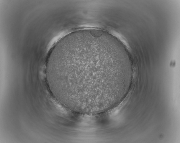 X0000093531357200710261242