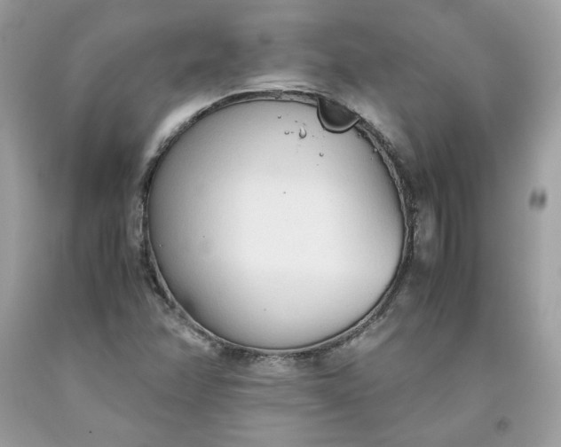 X0000093531358200710261242