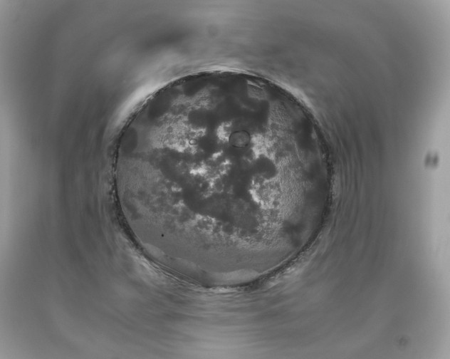 X0000093531359200710261242