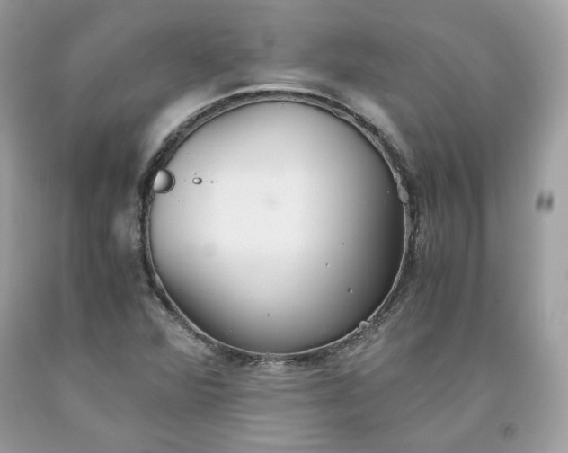 X0000093531360200710261242