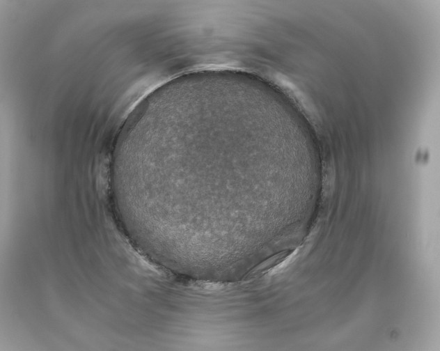 X0000093531361200710261242