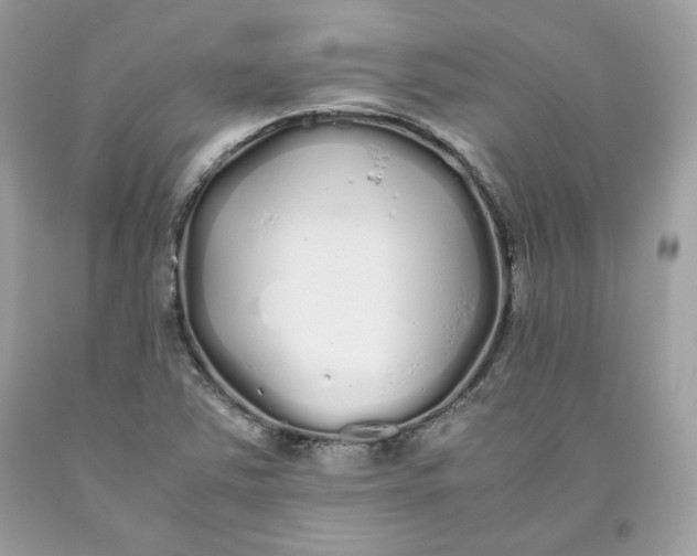 X0000093531363200710261242