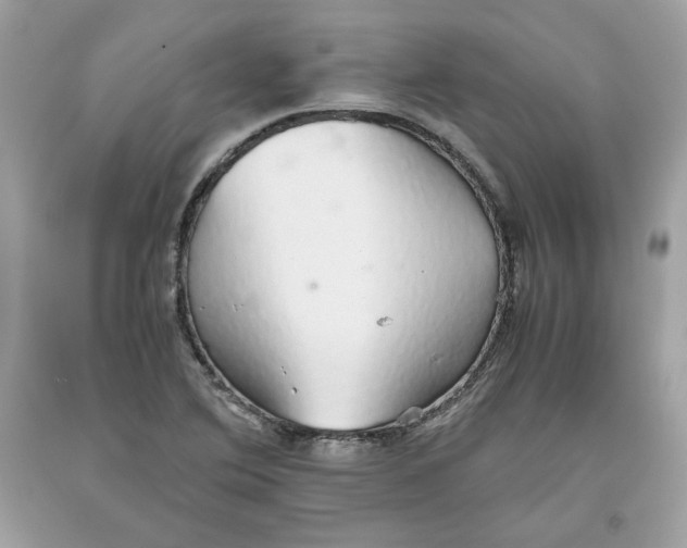 X0000093531364200710261242