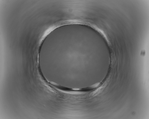 X0000093531365200710261242