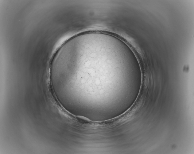 X0000093531366200710261242