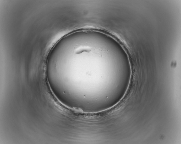 X0000093531367200710261242