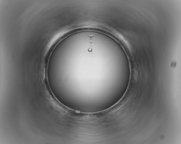 X0000093531368200710261242