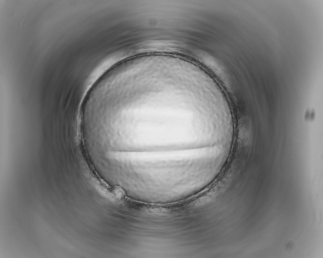 X0000093531370200710261242