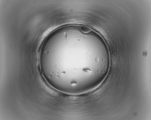 X0000093531371200710261242