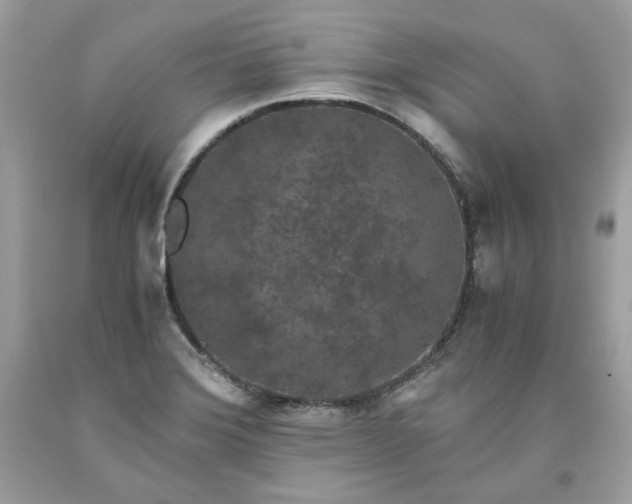 X0000093531372200710261242