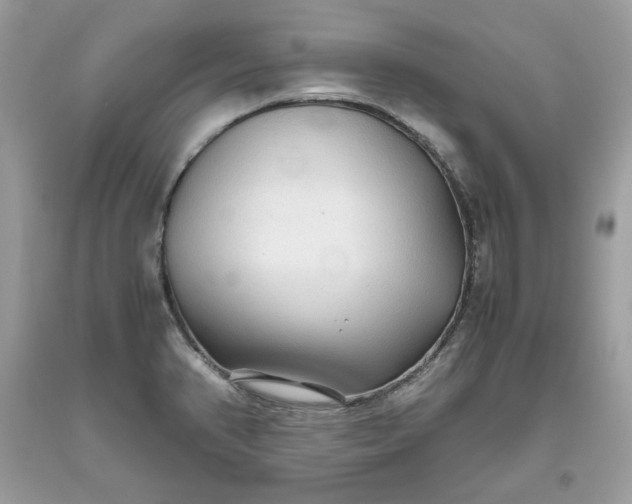 X0000093531374200710261242