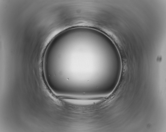 X0000093531375200710261242