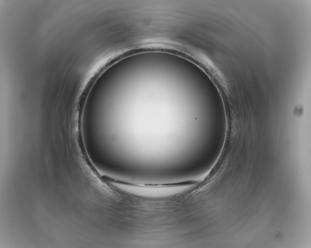 X0000093531376200710261242