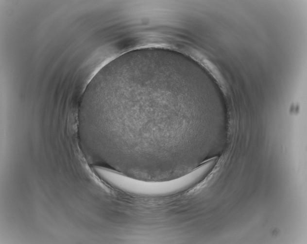 X0000093531377200710261242