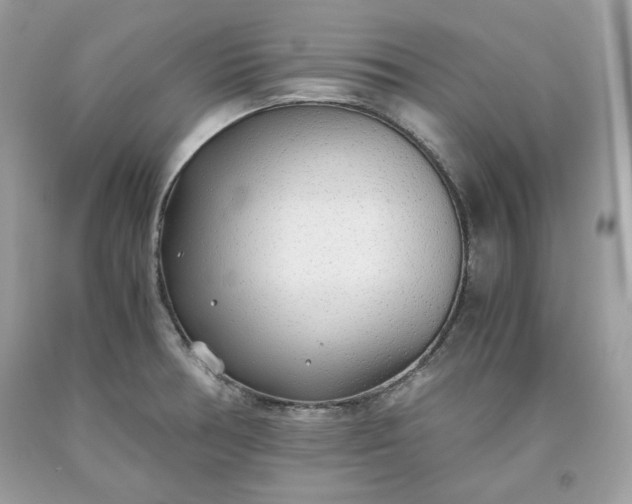 X0000093531378200710261242