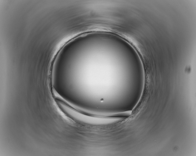 X0000093531379200710261242