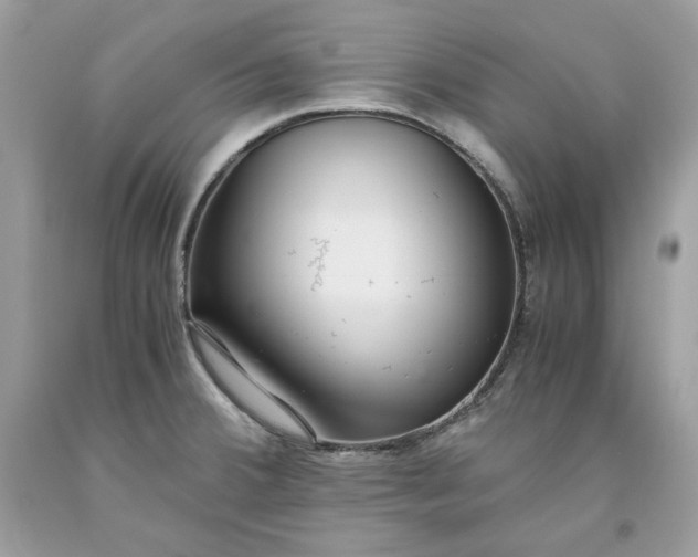 X0000093531380200710261242