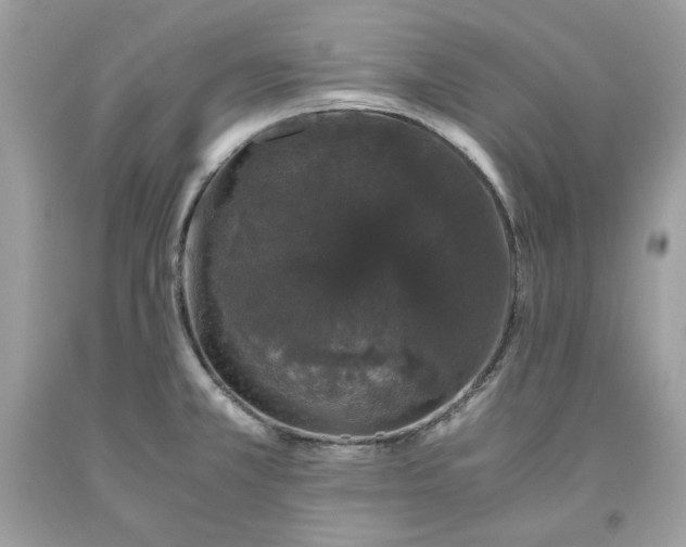 X0000093531381200710261242