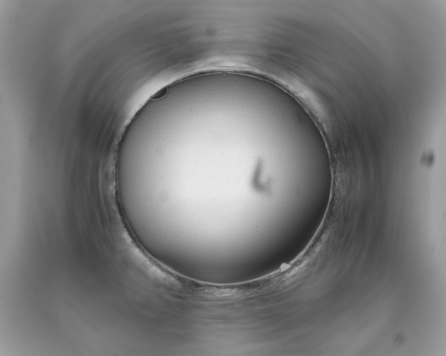 X0000093531382200710261242