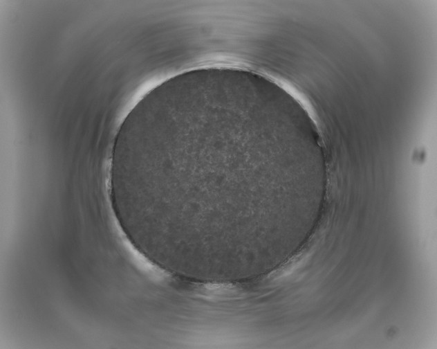 X0000093531383200710261242